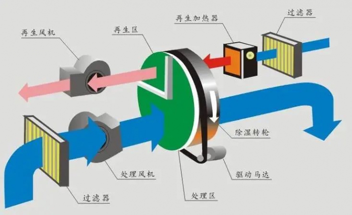 厕所潮湿久而久之会生虫还是？