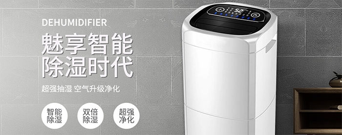 梅雨季怎么避免猫咪因潮湿而感染猫癣？