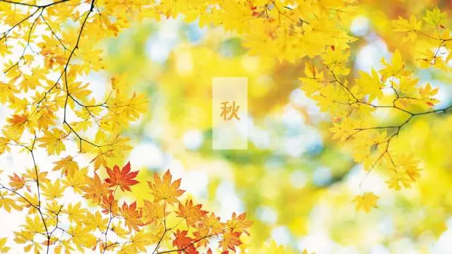 一定要香蕉福利视频的10大领域