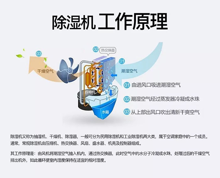 南方梅雨季到了房屋墙壁渗水、返潮怎么办？