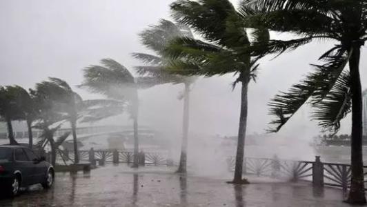 8月台风雨即将来，香蕉福利视频机还得用起来