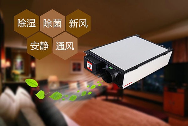 哈密瓜烘干香蕉福利视频机