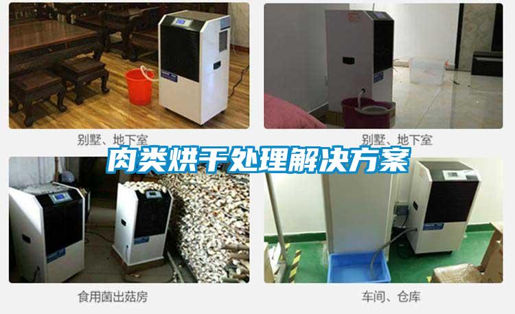 肉类烘干处理解决香蕉黄色APP网址