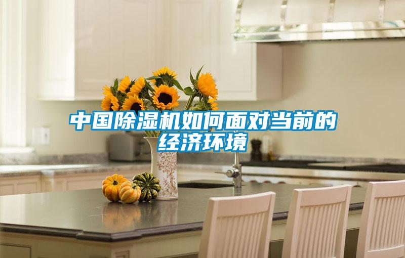 中国香蕉福利视频机如何面对当前的经济环境