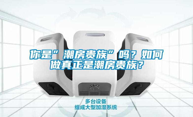 你是”潮房贵族”吗？如何做真正是潮房贵族？