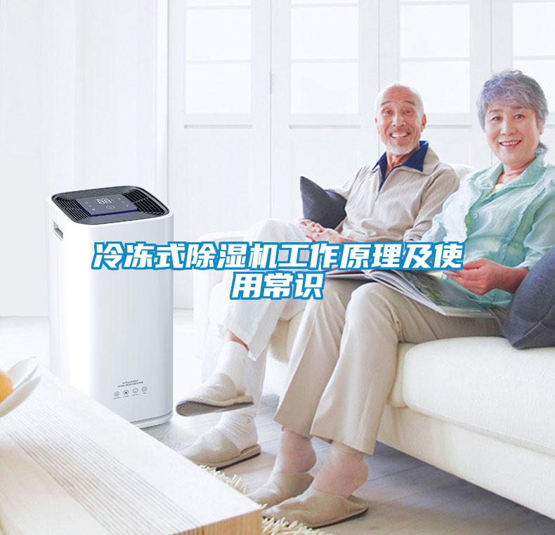冷冻式香蕉福利视频机工作原理及使用常识