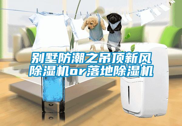 别墅防潮之吊顶新风香蕉福利视频机or落地香蕉福利视频机
