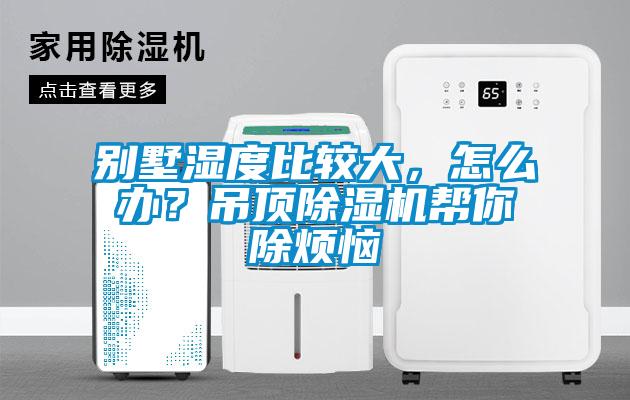 别墅湿度比较大，怎么办？吊顶香蕉福利视频机帮你除烦恼