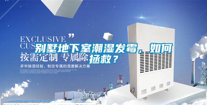 别墅地下室潮湿发霉，如何拯救？