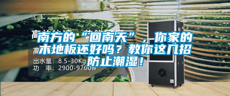 南方的“回南天”，你家的木地板还好吗？教你这几招防止潮湿！