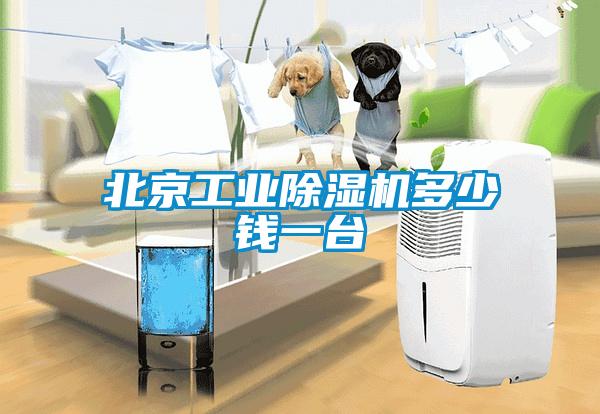 北京工业香蕉福利视频机多少钱一台