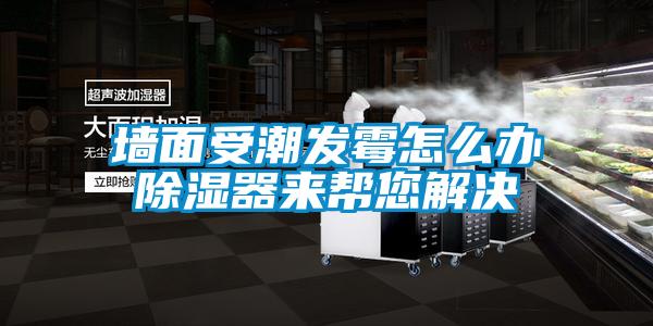 墙面受潮发霉怎么办香蕉福利视频器来帮您解决