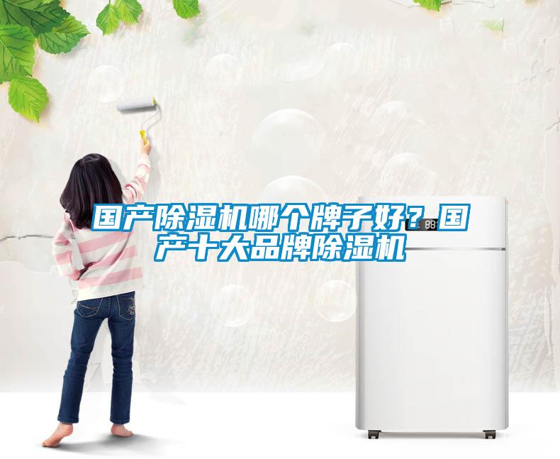 国产香蕉福利视频机哪个牌子好?国产十大品牌香蕉福利视频机