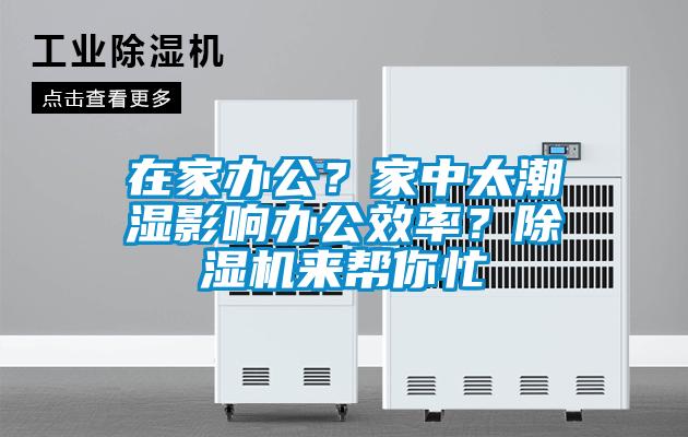在家办公？家中太潮湿影响办公效率？香蕉福利视频机来帮你忙