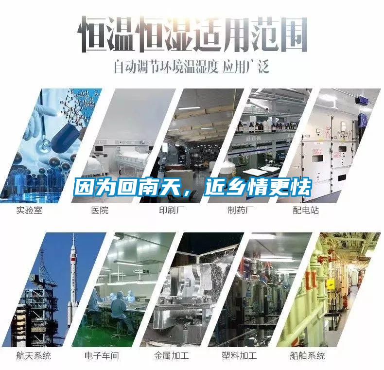 因为回南天，近乡情更怯