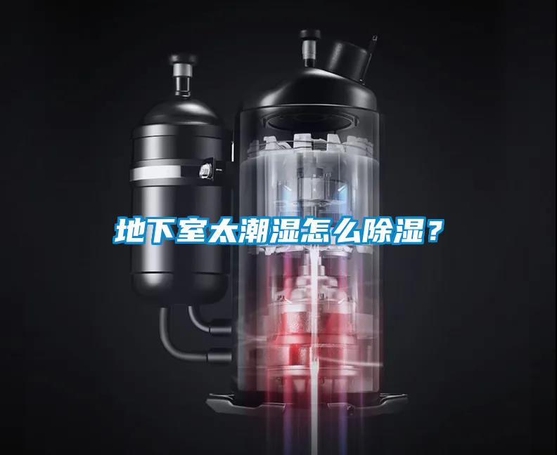 地下室太潮湿怎么香蕉福利视频？