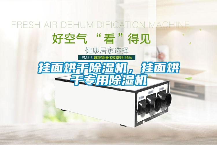 挂面烘干香蕉福利视频机，挂面烘干专用香蕉福利视频机