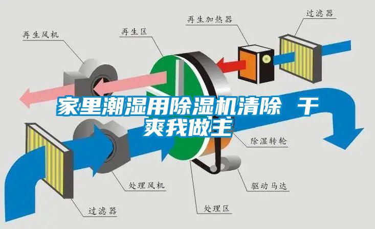 家里潮湿用香蕉福利视频机清除 干爽我做主