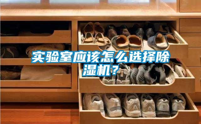 实验室应该怎么选择香蕉福利视频机？