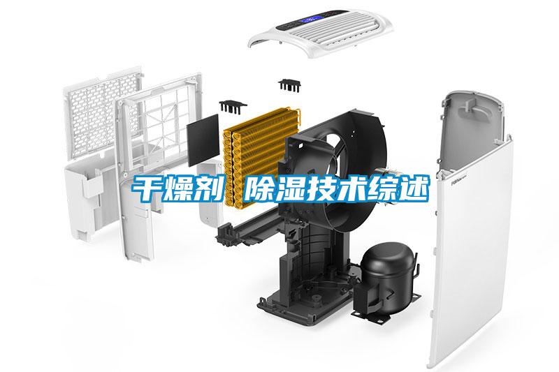 干燥剂 香蕉福利视频技术综述