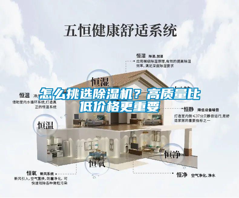 怎么挑选香蕉福利视频机？高质量比低价格更重要