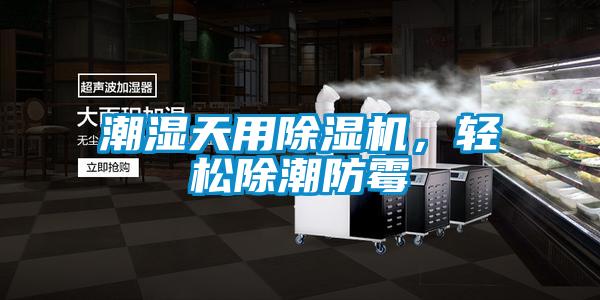 潮湿天用香蕉福利视频机，轻松除潮防霉