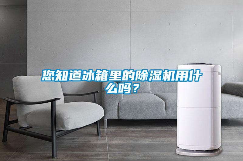 您知道冰箱里的香蕉福利视频机用什么吗？
