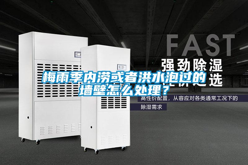 梅雨季内涝或者洪水泡过的墙壁怎么处理？