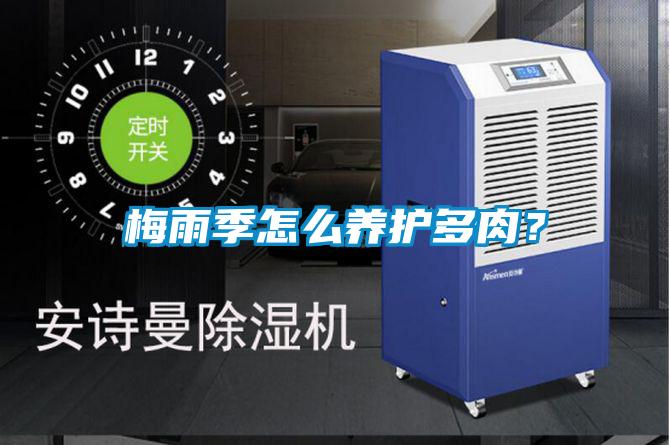梅雨季怎么养护多肉？