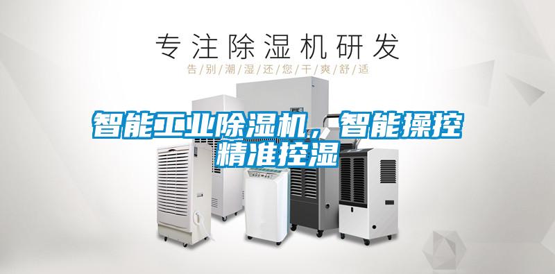 智能工业香蕉福利视频机，智能操控精准控湿