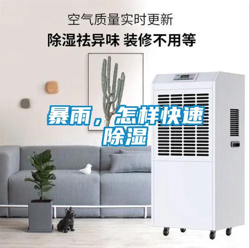暴雨，怎样快速香蕉福利视频