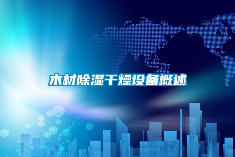 木材香蕉福利视频干燥设备概述