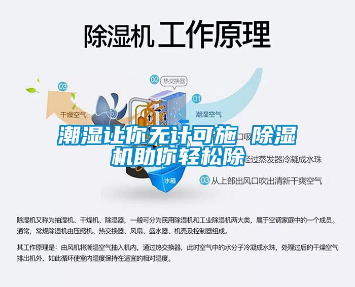 潮湿让你无计可施 香蕉福利视频机助你轻松除