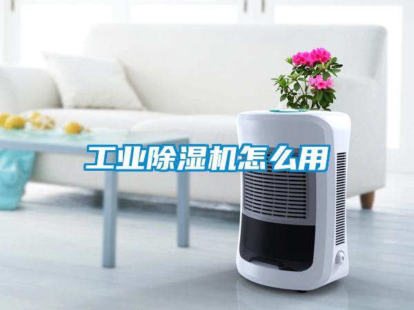 工业香蕉福利视频机怎么用