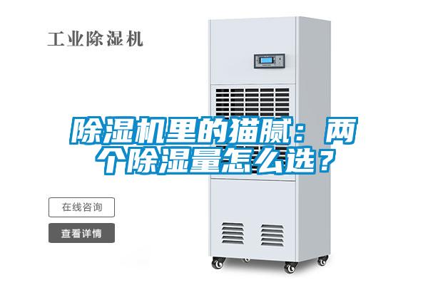 香蕉福利视频机里的猫腻：两个香蕉福利视频量怎么选？