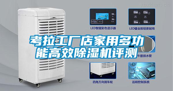 考拉工厂店家用多功能高效香蕉福利视频机评测
