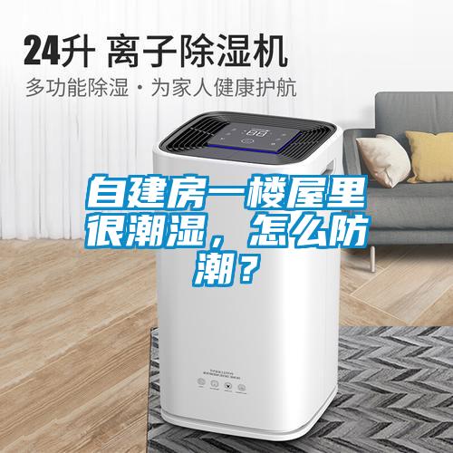 自建房一楼屋里很潮湿，怎么防潮？