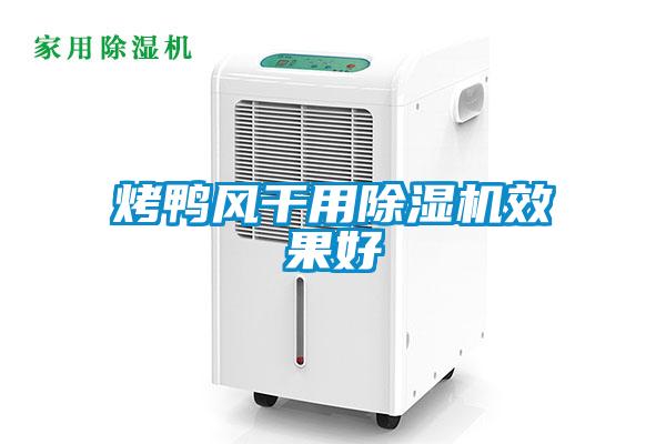 烤鸭风干用香蕉福利视频机效果好