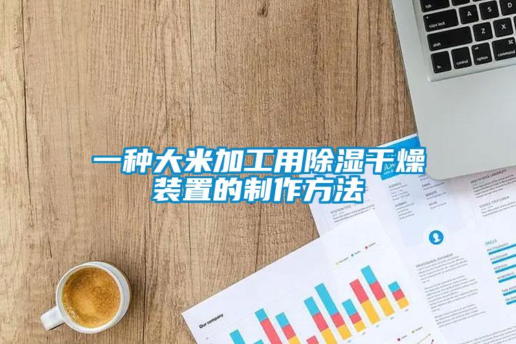 一种大米加工用香蕉福利视频干燥装置的制作方法