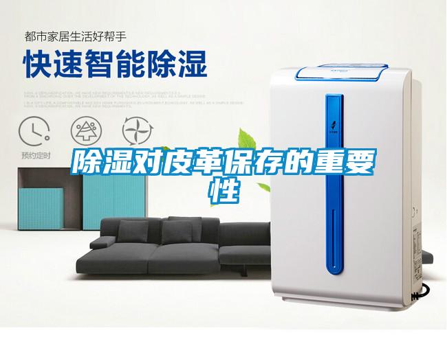 香蕉福利视频对皮革保存的重要性