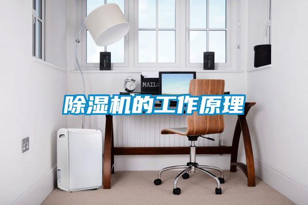 香蕉福利视频机的工作原理
