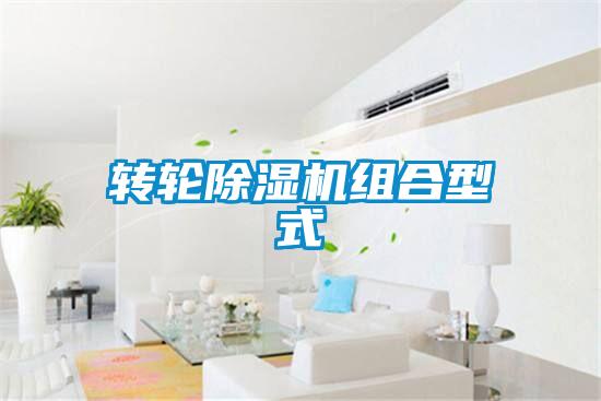 转轮香蕉福利视频机组合型式