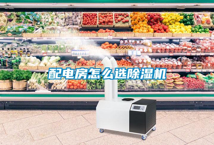 配电房怎么选香蕉福利视频机