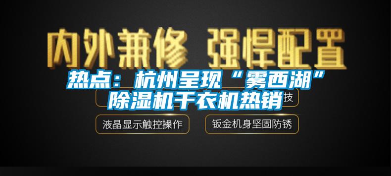热点：杭州呈现“雾西湖”香蕉福利视频机干衣机热销