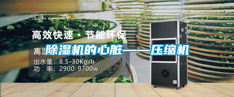 香蕉福利视频机的心脏——压缩机