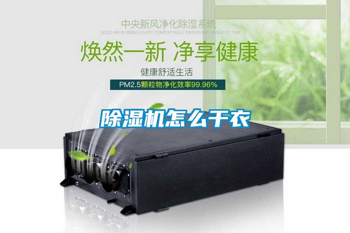 香蕉福利视频机怎么干衣