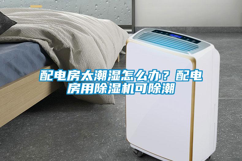 配电房太潮湿怎么办？配电房用香蕉福利视频机可除潮