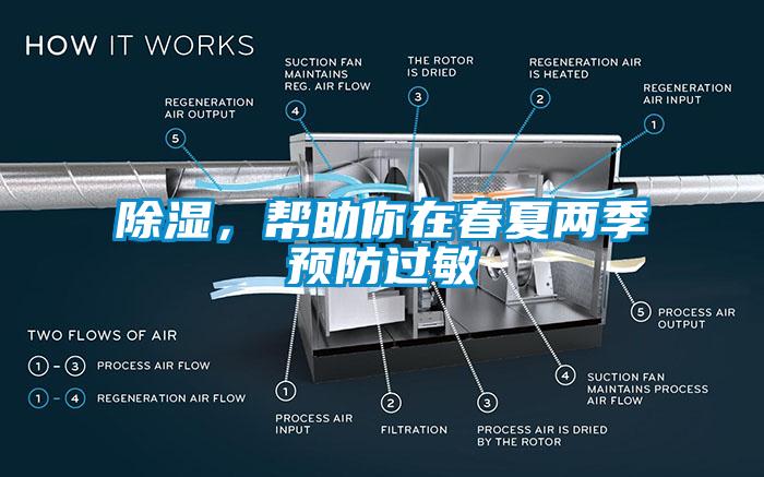 香蕉福利视频，帮助你在春夏两季预防过敏