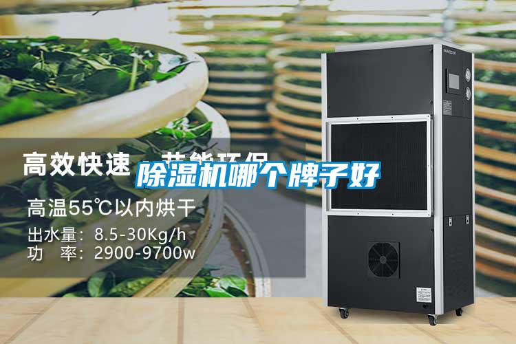 香蕉福利视频机哪个牌子好