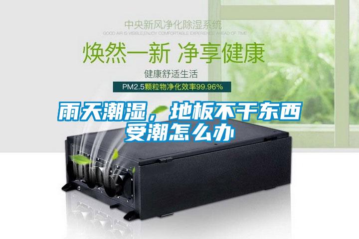 雨天潮湿，地板不干东西受潮怎么办
